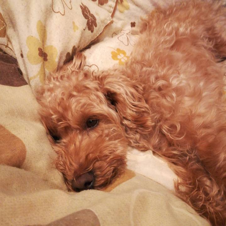 06786374 0228 48e9 bc84 878e9b99bb2d 1524143346994