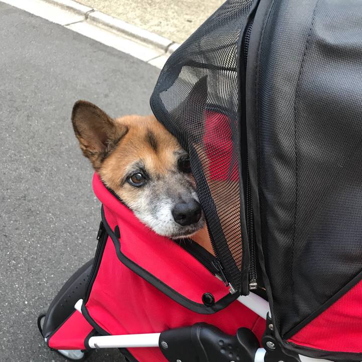 067867f8 ab4b 44f7 9582 06eb5efb9c5f 1536917185356