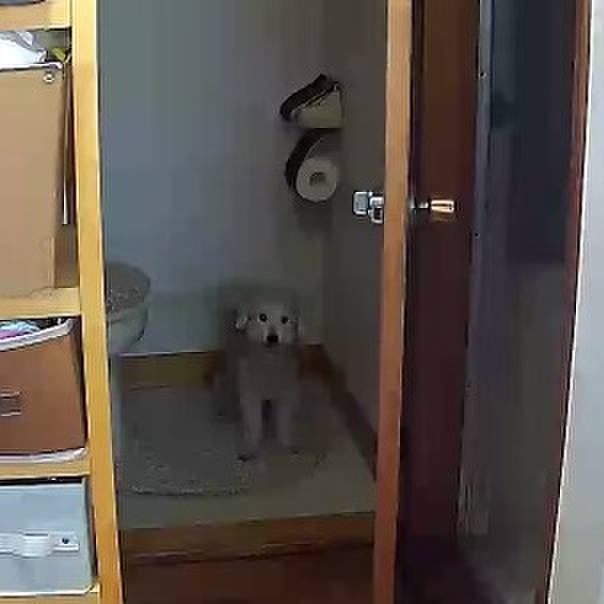 06786996 1a0c 41fb afdd b6630b9675b0 1637122351124