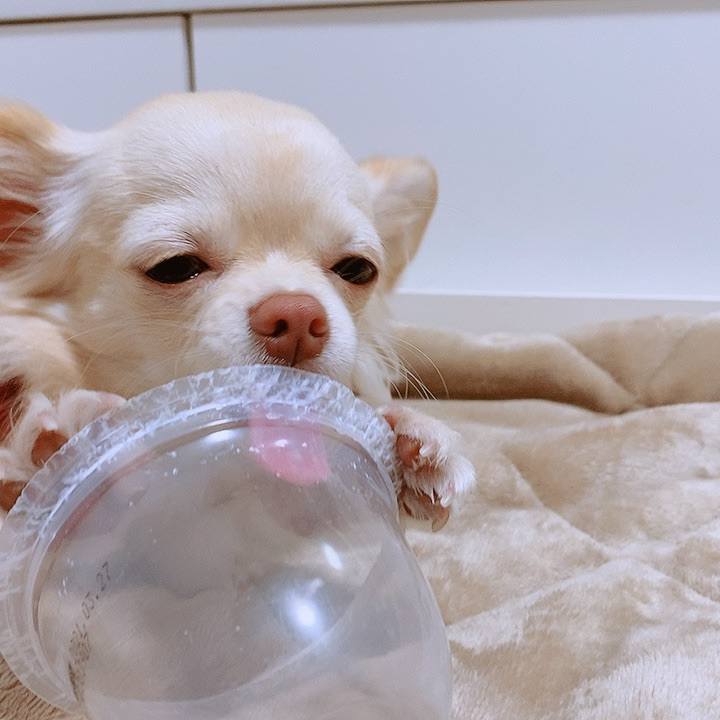 06786e75 4b14 46fa baa2 922d4a027515 1607774396919