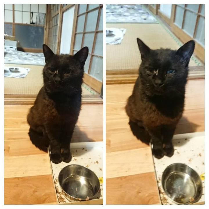 0679326a 559d 4d66 bd41 c65e349e260c 1623933844402