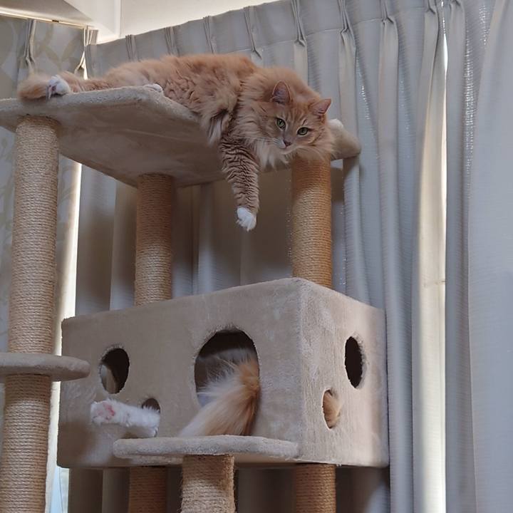 06793d4c 31e8 41b3 a0be 2bebf735f124 1639895036764