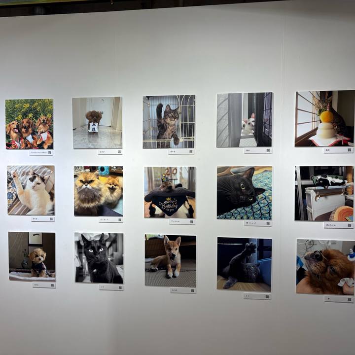 067978e5 4651 4a86 b708 e5dde0f6dbb8 1761651985299