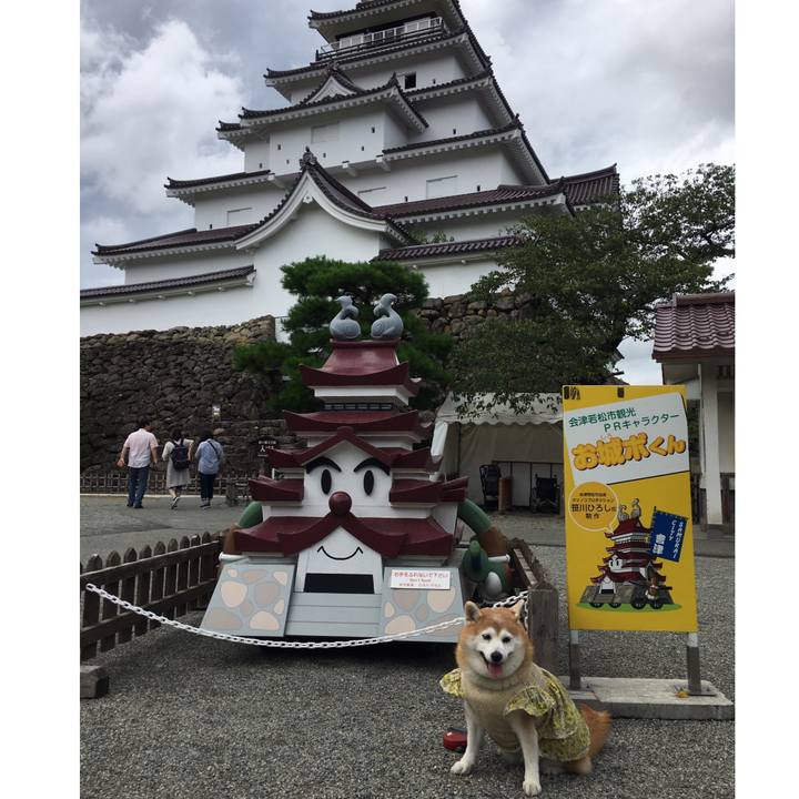 0679a346 3c82 4b30 969e 27af870c4ded 1566474771426