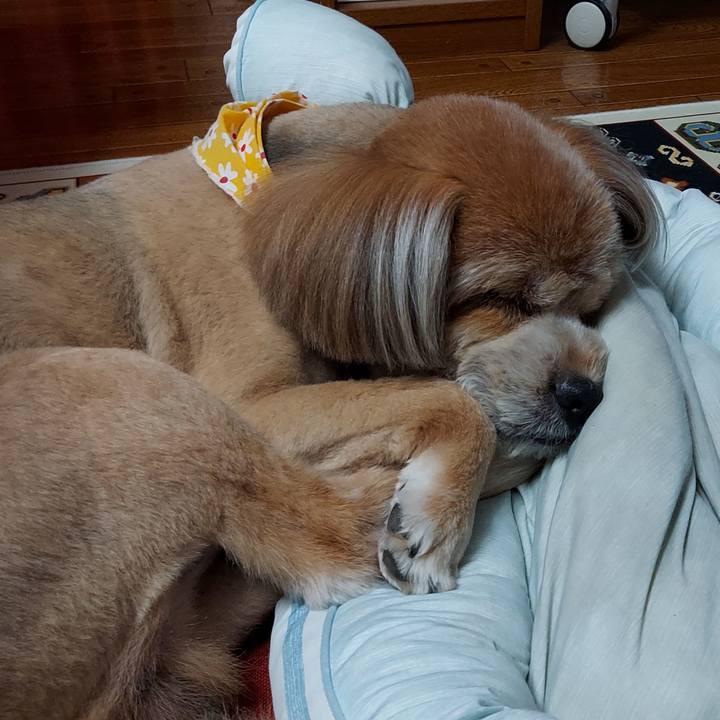 0679c641 6270 4f41 b133 3d5f77640cf7 1630844299486