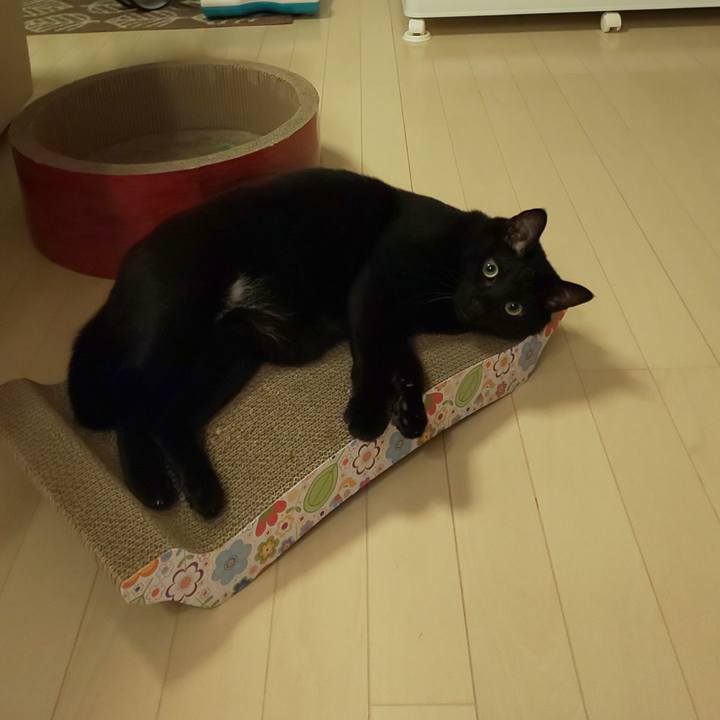 067a59a0 5c9d 409e 8d9e fd0429d536f9 1571323276797