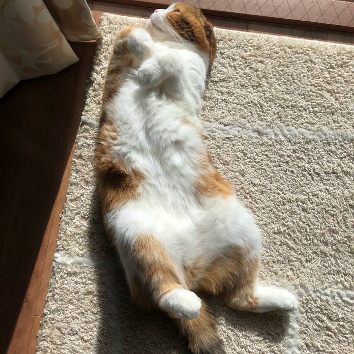 067a8305 15df 4cf6 bc4e 479c93ea174c 1610768300312