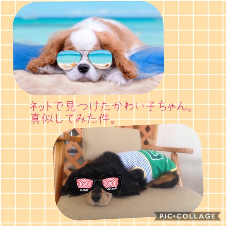 067a9b8f 8c2d 4c4f 8e8d 378e96f7b316 1542265089972