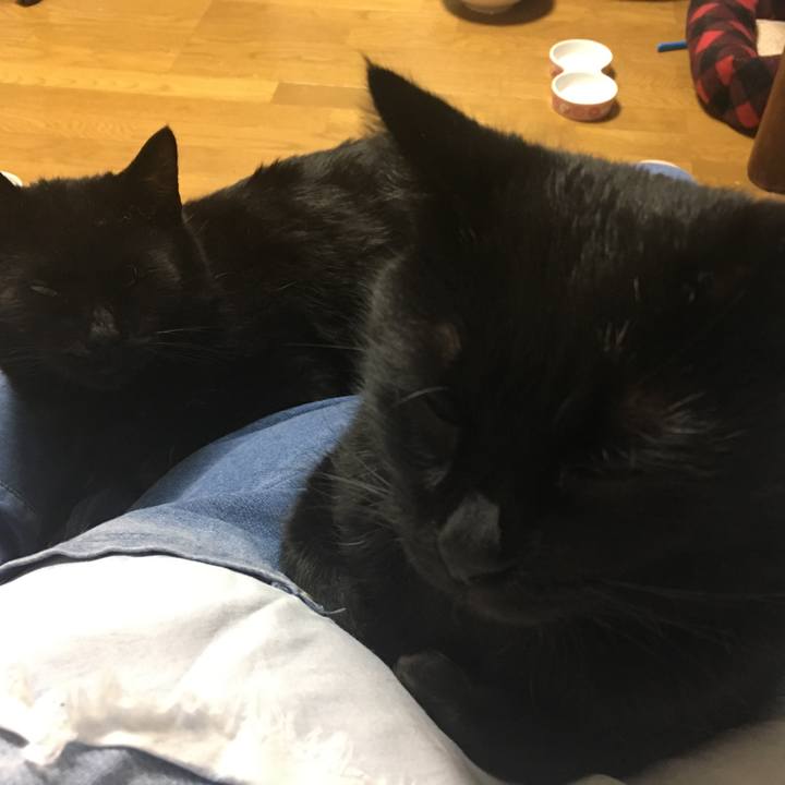 067aa047 0b01 4b8c 8e5b 7b6662aa1e82 1544191949928