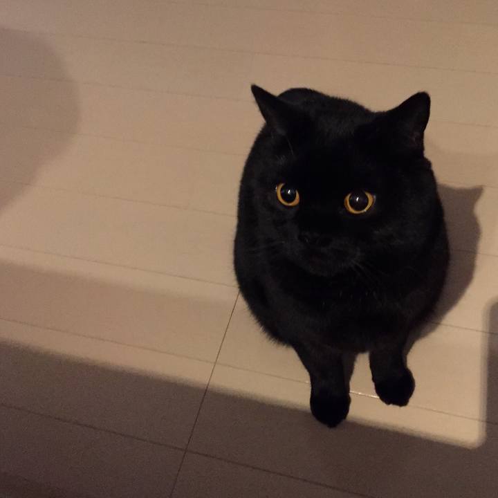 067aa5c3 6b68 4d52 98bf edc302ca5a01 1588686372769