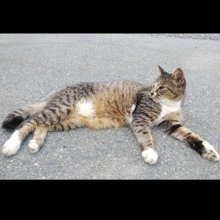 067ab90d f165 4c94 b050 601df76f858b 1600394737630