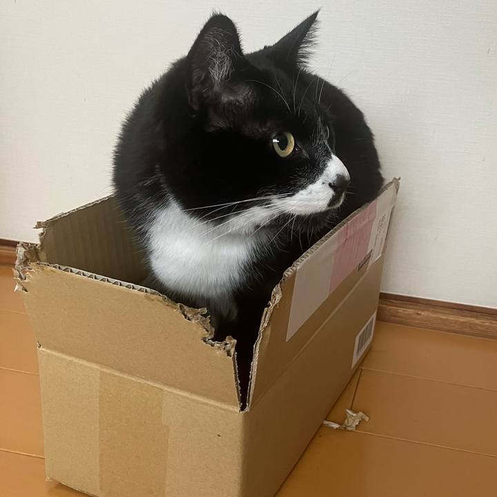 067b003a 3445 45b3 b1ae 99ebfc7798d2 1747885318630