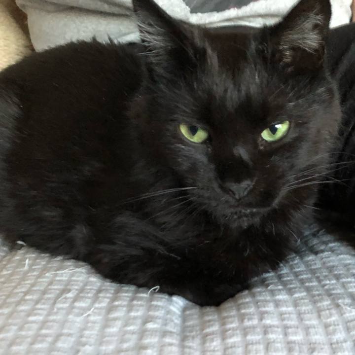 067b5671 2f27 485a 804c a827abff794a 1622973633870