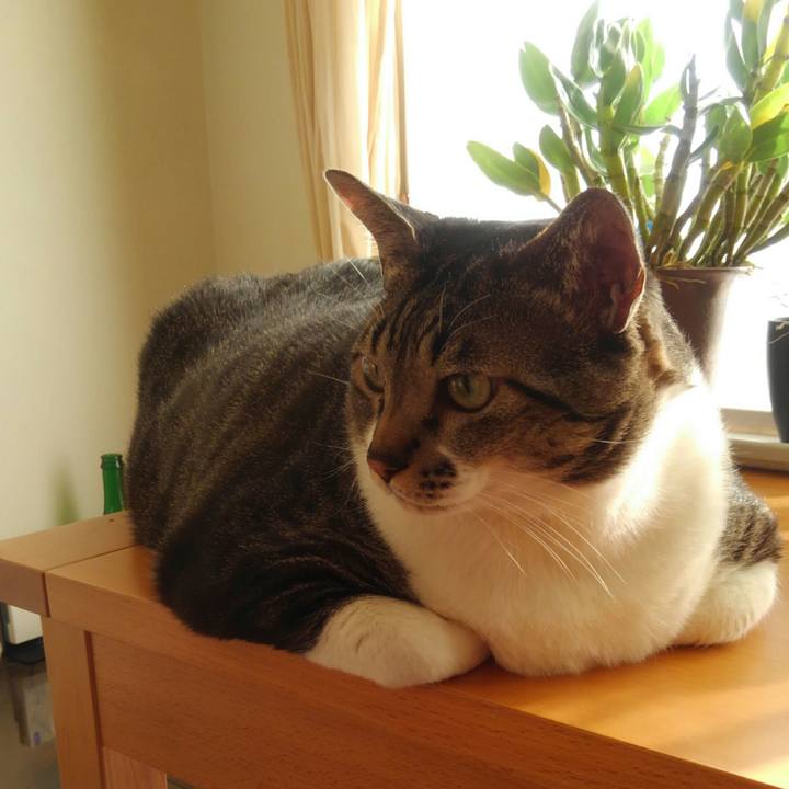 067b58b1 4a0b 4e9c 8ed6 505c5c33d3b2 1511218910674