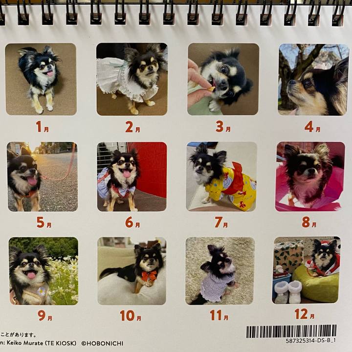 067b5a6e b8ef 4d53 ab63 42ec01951b90 1637318482852