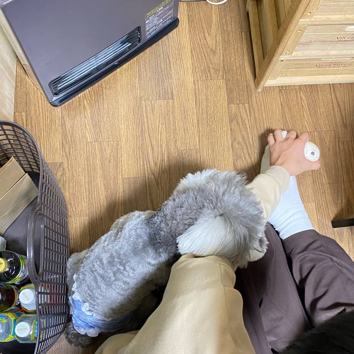 067b5d2f e761 456b b6de 3c2203d3396e 1609337054734