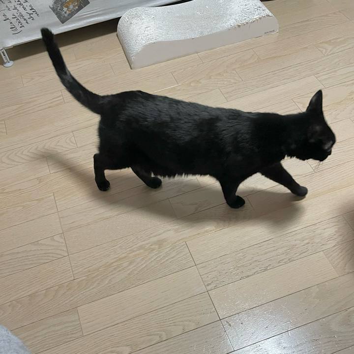 067b75d5 c8e4 4a81 845c 1fee78aab2e3 1681732816624