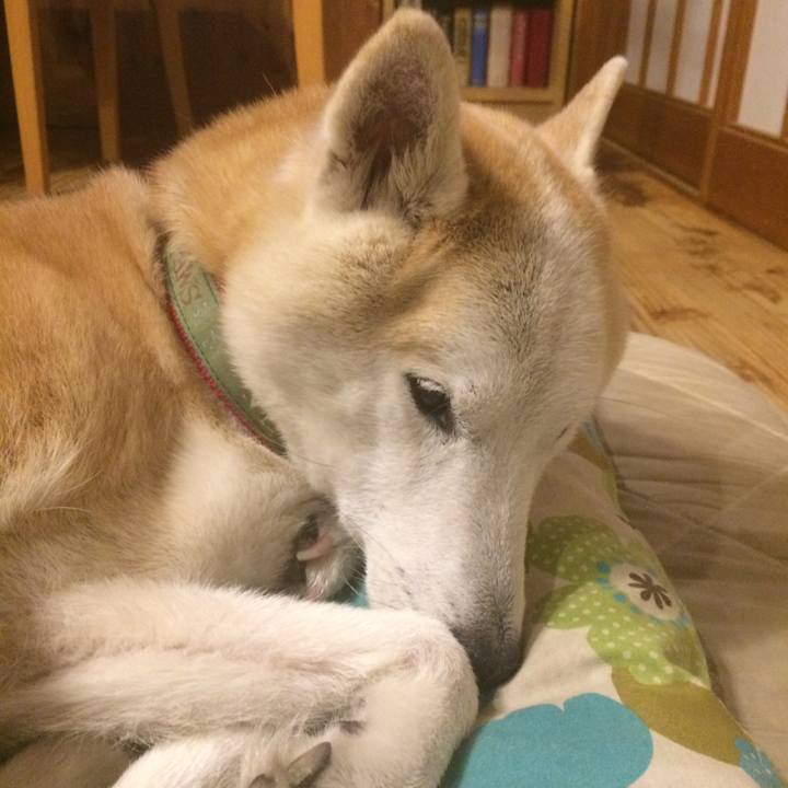 067b7d4e 88cd 4c15 8169 f3e22075a0ad 1571057434156