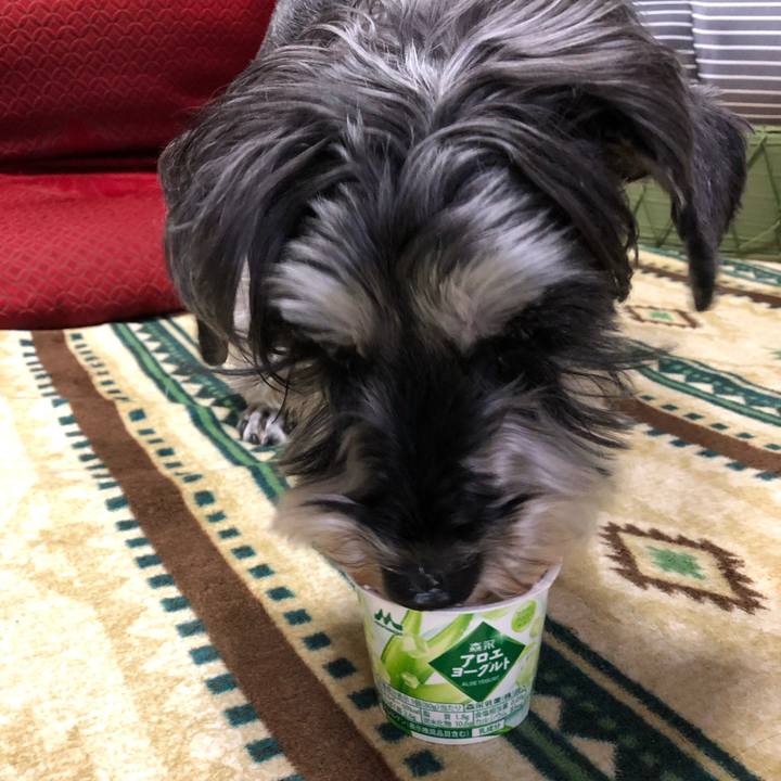 067b97a6 8dbd 4b6b 95c9 1921724ce921 1647162632234