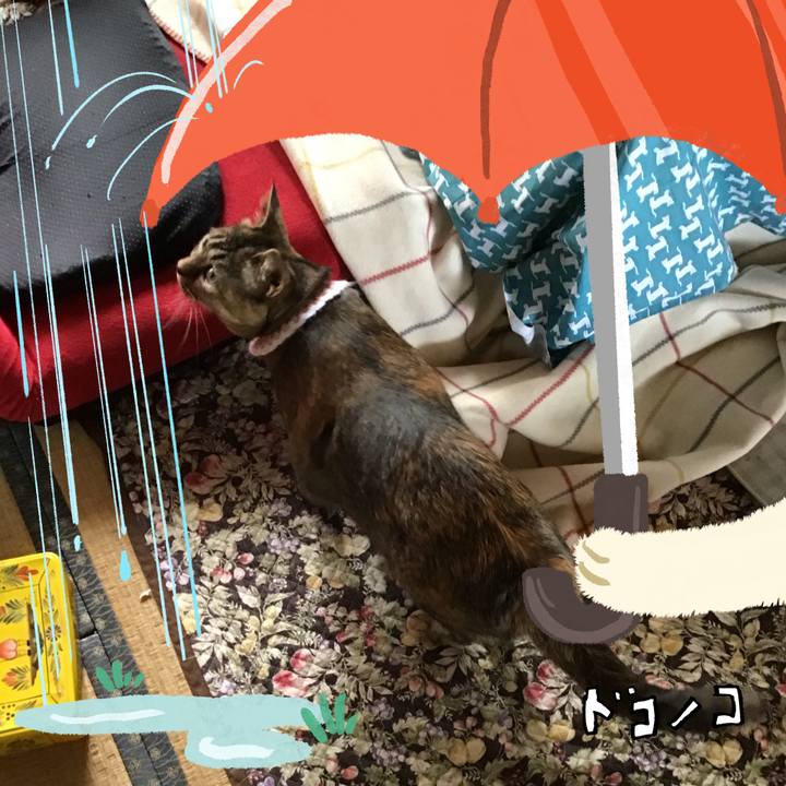 067bbb2c 79ba 43f2 b5a2 2d0249219317 1749199558190