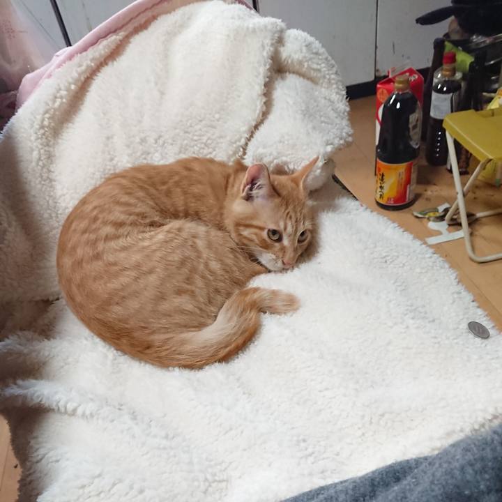 067be96a 7237 4397 b8af e89059959661 1633924155482