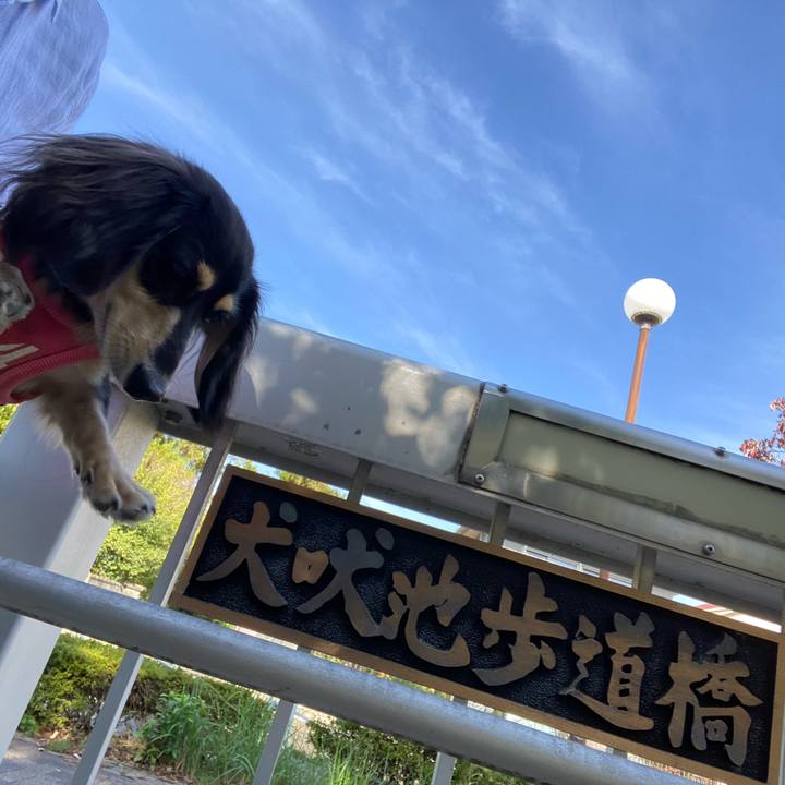 067c0e81 907f 4c8a 876c cd6d23a3dbde 1698891576323