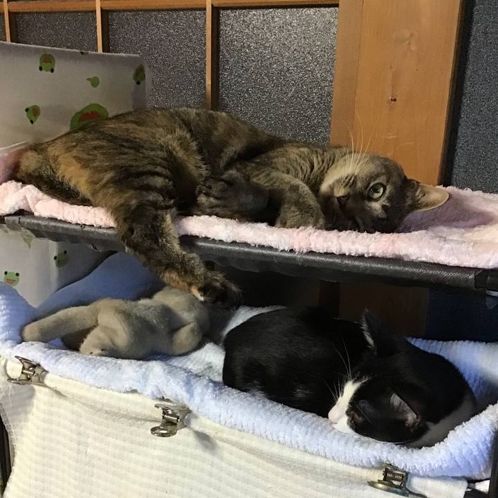 067c272c c695 49ba 9fcb 662f368f3660 1627809509524