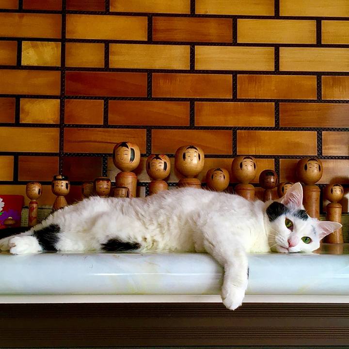 067c614e c1c3 4d7e 9590 12fcd5d866a5 1590995716940