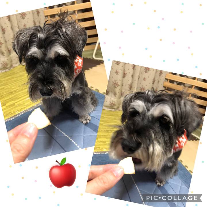 067c7ceb 4530 4365 bcec b704db3955ed 1692537572204