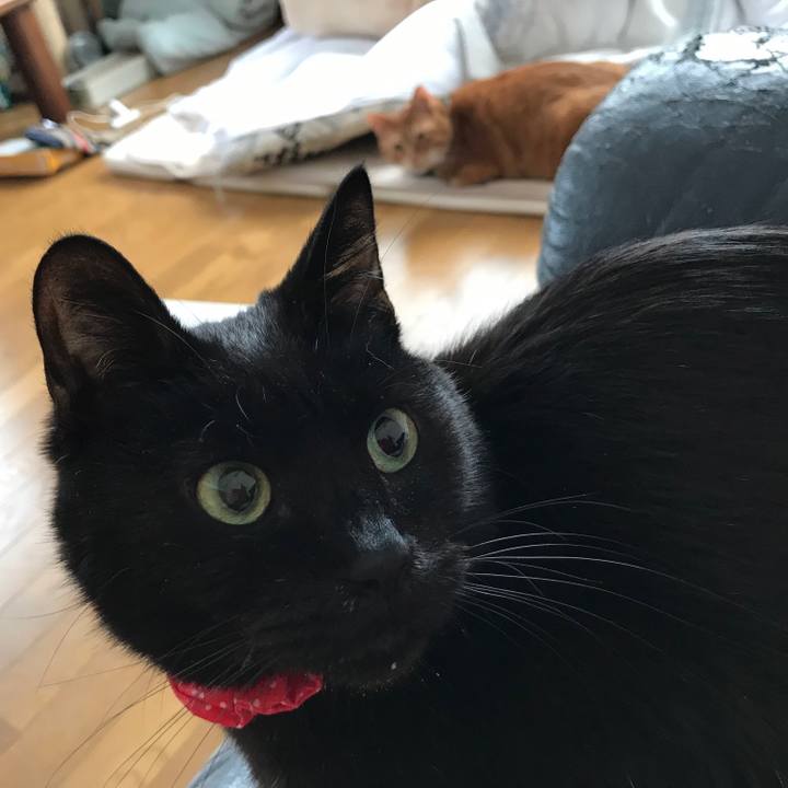 067c9a2e 1bb9 4071 82c4 070426e0ad38 1561249546660