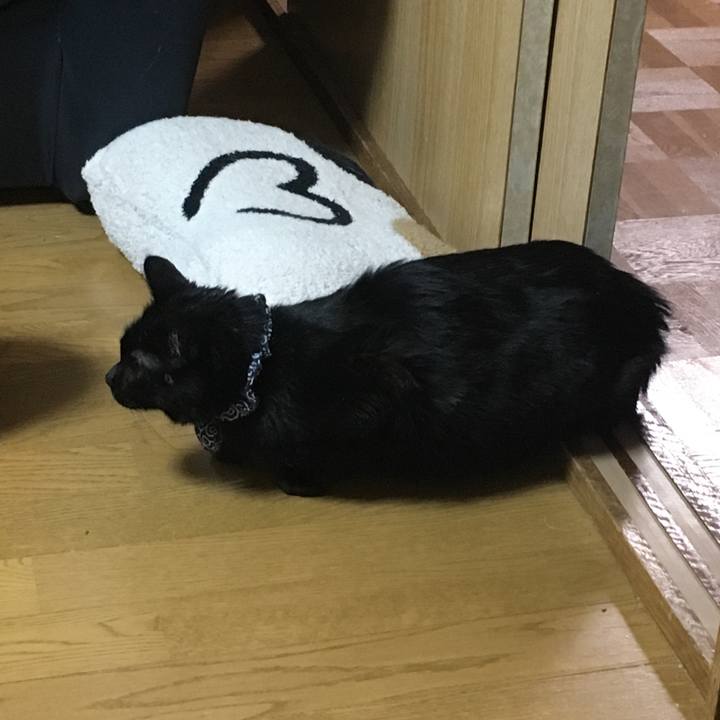 067ce801 16e8 4bc2 8d2e 12b405cf605d 1553428444305