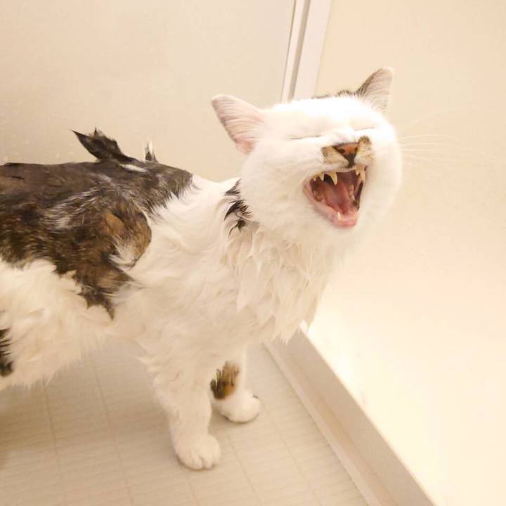 067d044b 471b 4d65 802e 2a87dadd47b8 1597207739146