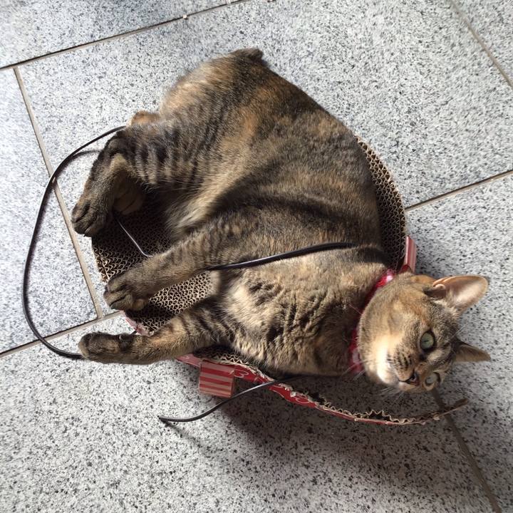 067d2c0b cb3f 4c7d 8be7 788d01b70984 1604895392625