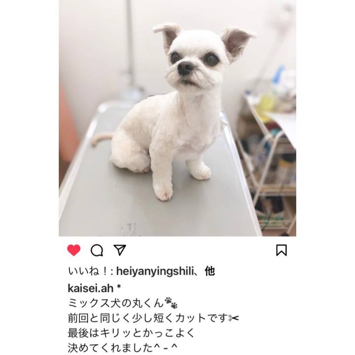 067d54c8 23cb 4d4a b47b f6bab8ab71c0 1620394458215