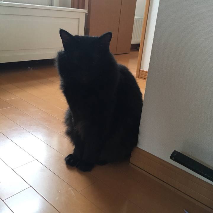 067d6bb2 576b 4d7d bb6c 7d0f5253df15 1532831805173