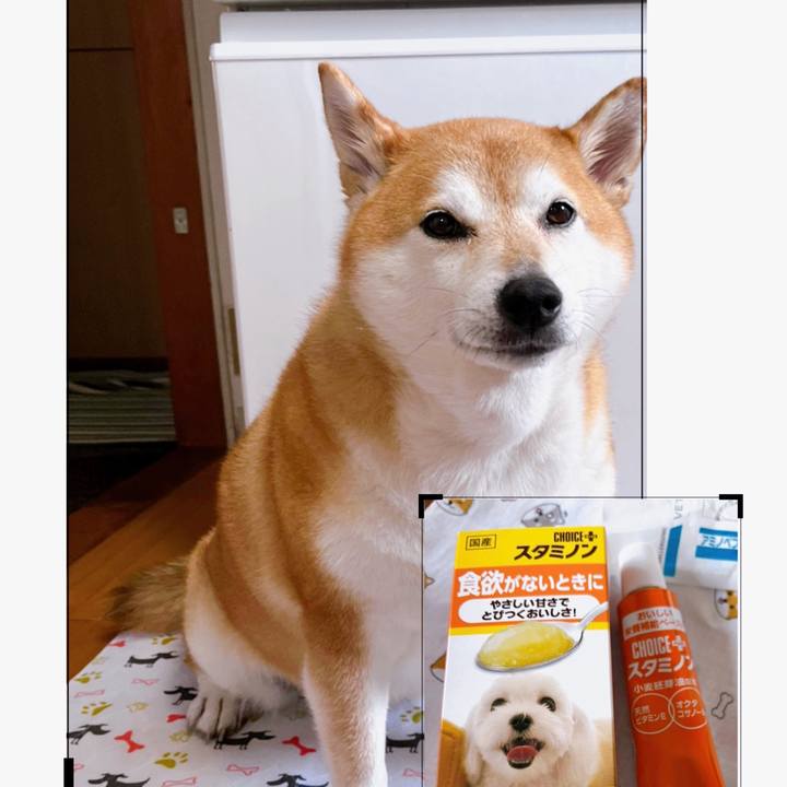 067d9a82 9bb0 4e6d b9c0 9efc02a76dd0 1694565928909