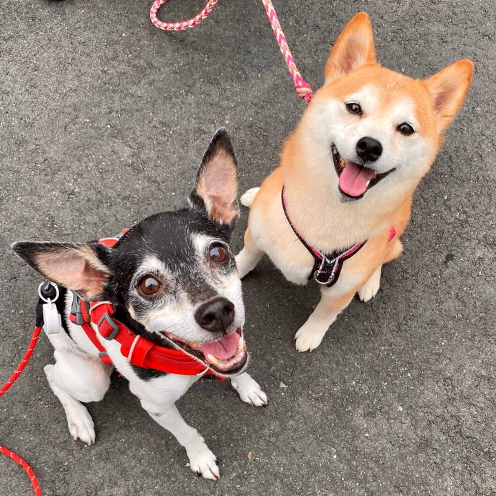 067db584 8dfb 4ca4 8e5b 5a0c57743c3e 1625520889461