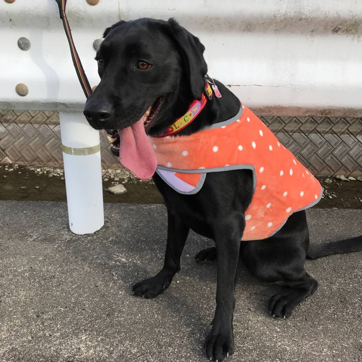 067dc36d 7081 4b44 af03 82fd36130d76 1515910344974