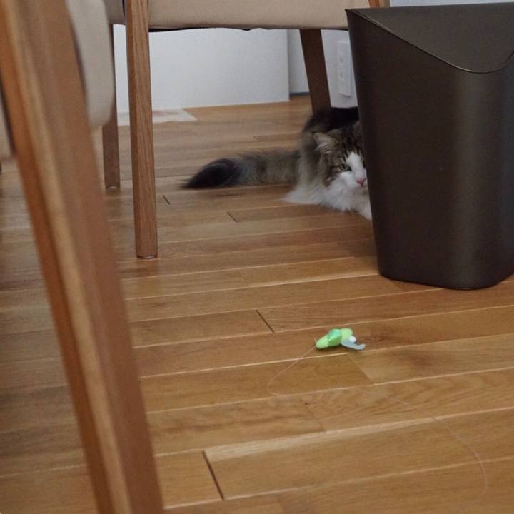 067dea0e 5ee4 4fb0 bdf8 4bcb877644a3 1565960824170