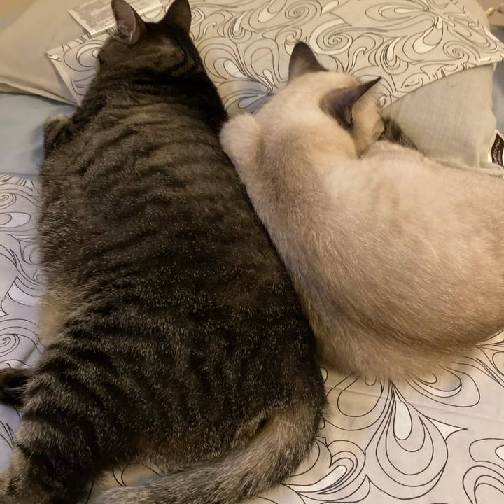 067e2eae 62cb 467d 9a08 26868006bcbb 1599984074093