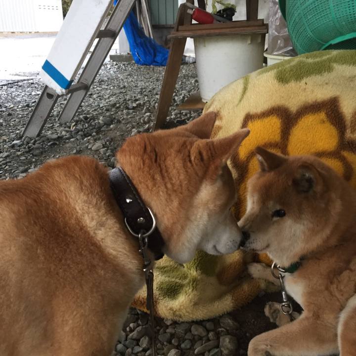 067e3662 437c 4850 b7e6 0cde5ace01c7 1510556418528