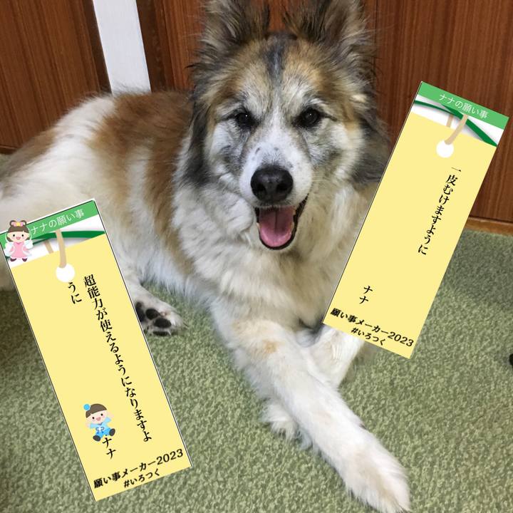 067e4528 b36e 45e3 9b67 2637c82c5df7 1688717514475