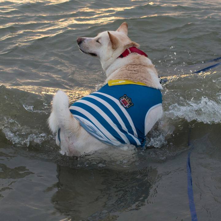 067e4a0e fcc1 40d3 81b4 dc7a60df9be8 1534088036454