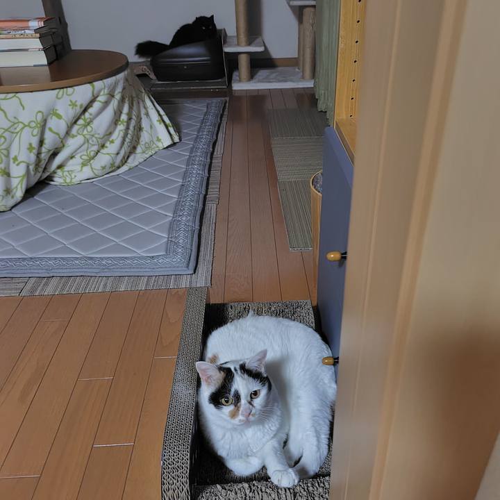 067e56d4 2acb 4852 888c 68ce4b81f0c0 1729855468160