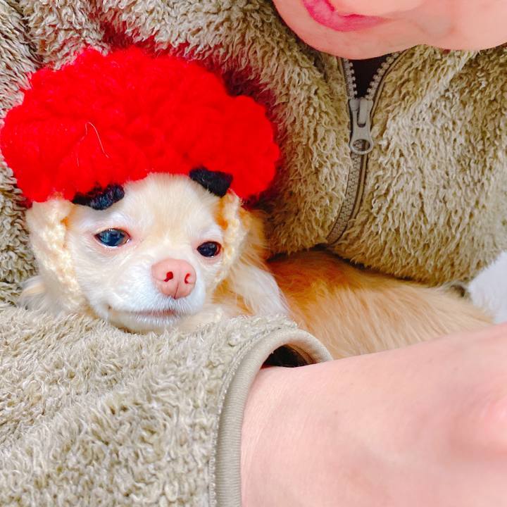 067e678f 1672 4ce9 8fd2 d6c070ba3930 1643967380274