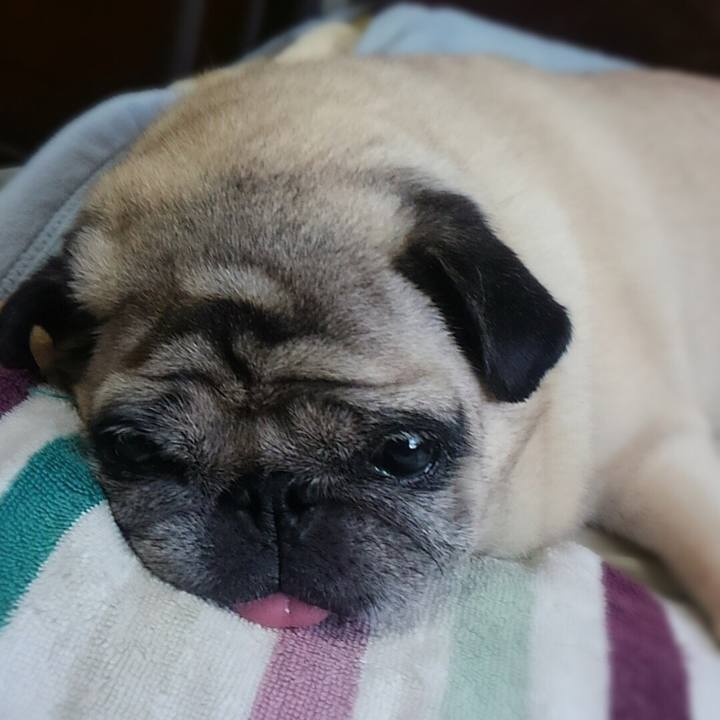 067e6f3b 4ac9 42fe 95e5 801498282771 1539063436693