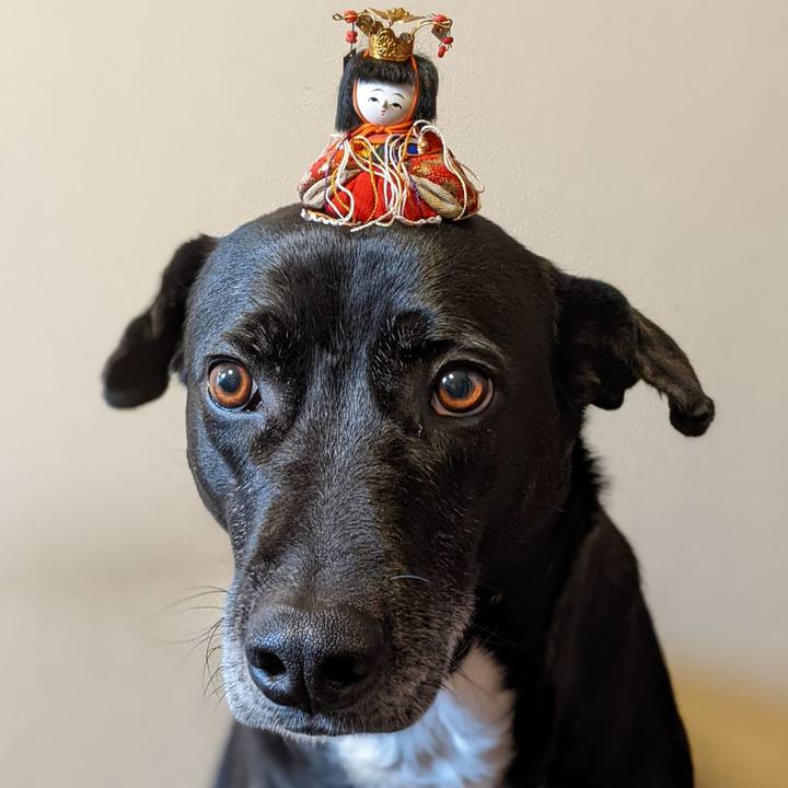 067eb089 c489 4cd4 92cc eeffad8e0710 1677670077746