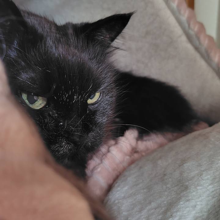 067f08cc c052 4b20 9e76 cdac2a6ce24c 1745585307182