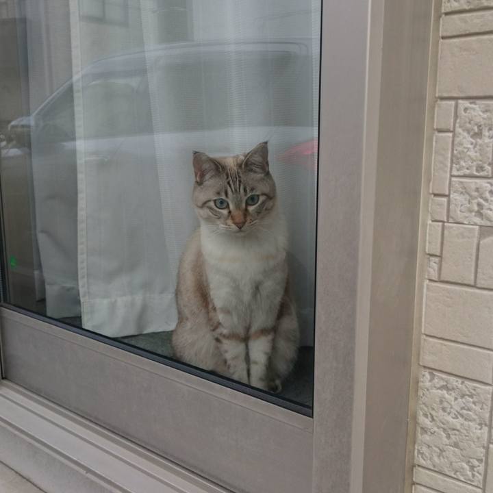 067f2677 42f7 42a1 9b32 99ffc8736810 1510282303686