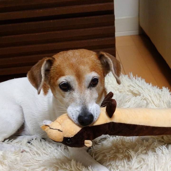 067f5085 18ed 4619 922f c5699b71728e 1759057580902